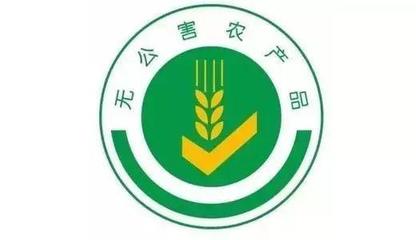 南沙区电子产品批发市场，老师傅教你避开常见坑