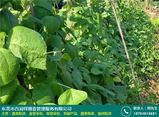 五金产品批发行业代码，很多人第一步就错了